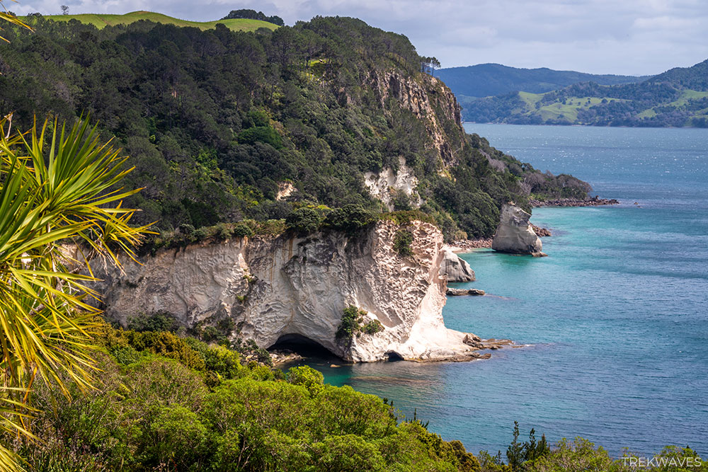 cathedral cove grange road carpark lookout view coromandel nz