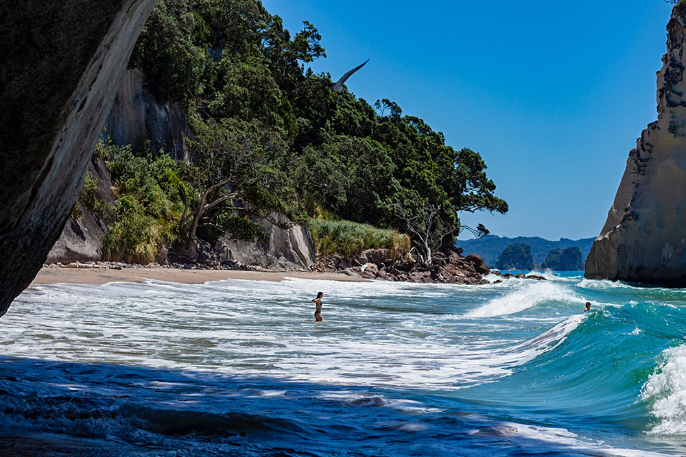 cathedral cove swimming high tide coromandel