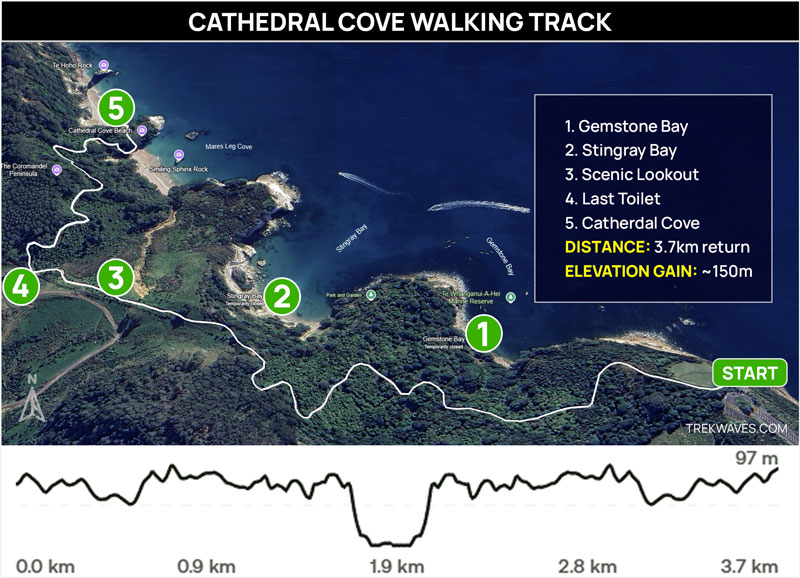 cathedral cove walking track map coromandel new zealand