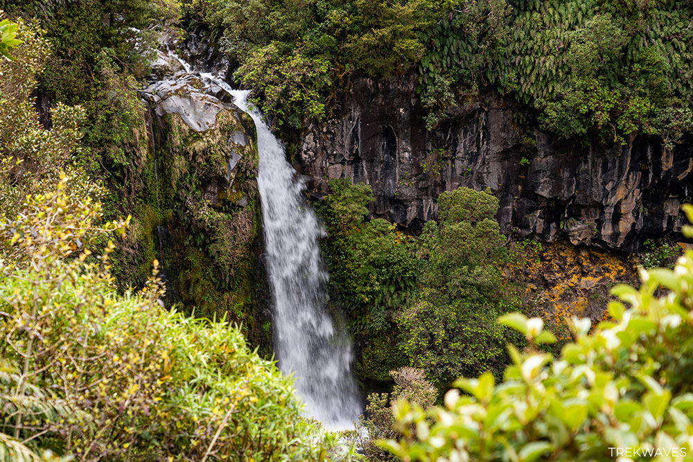 dawson falls taranaki egmont national park