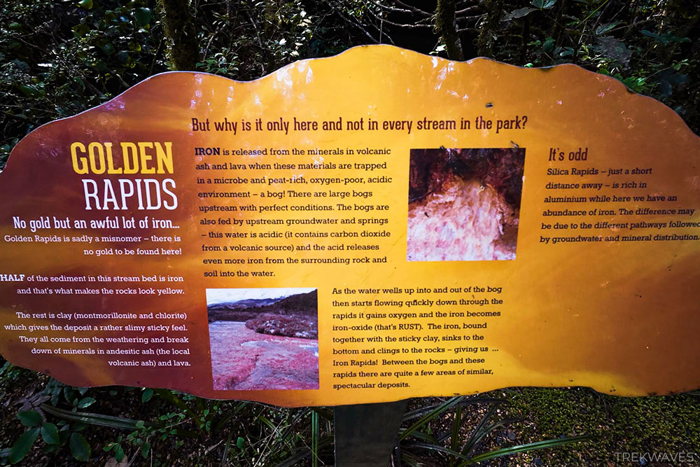 golden rapids tongariro national park new zealand