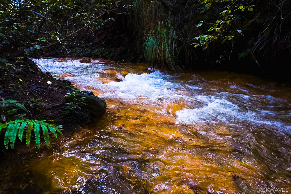 golden rapids tongariro national park new zealand