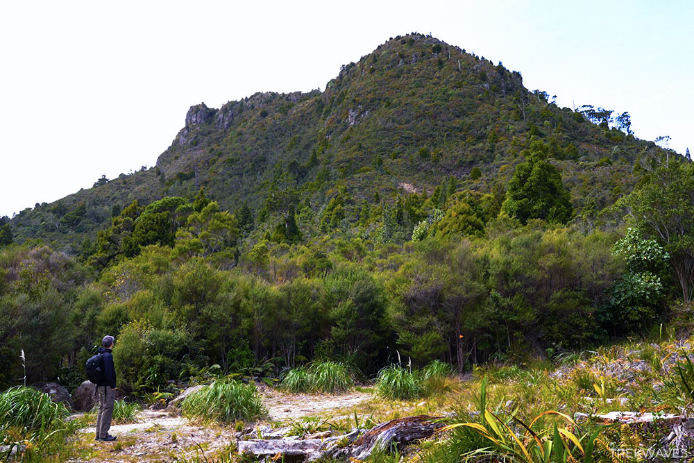 hydro camp the pinnacles track coromandel nz