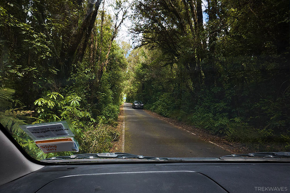 manaia road egmont national park taranaki