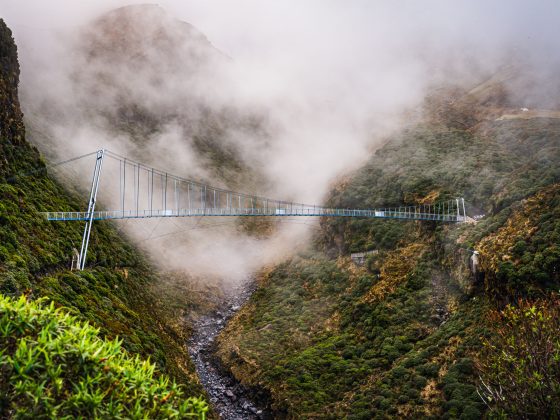 manganui gorge track mt taranaki stratford plateau