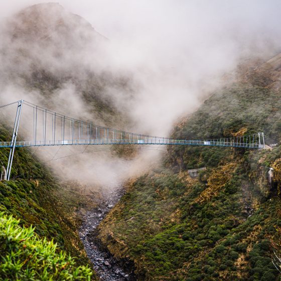 manganui gorge track mt taranaki stratford plateau