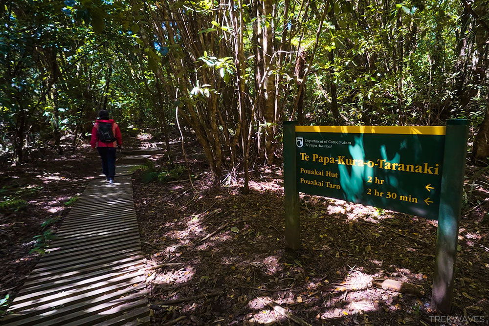 mangorei track start taranaki egmont national park