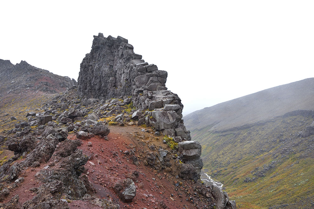 meads wall view tongariro new zealand