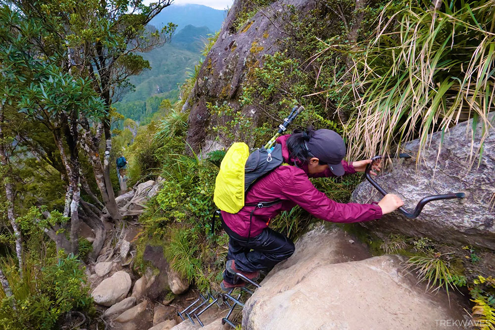 pinnacles summit climb metal ladders coromandel nz