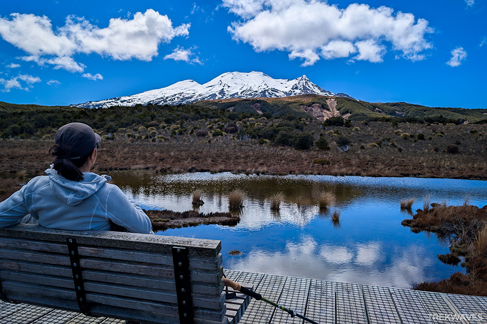 rotokawa wetland waitonga falls walk tongariro nz