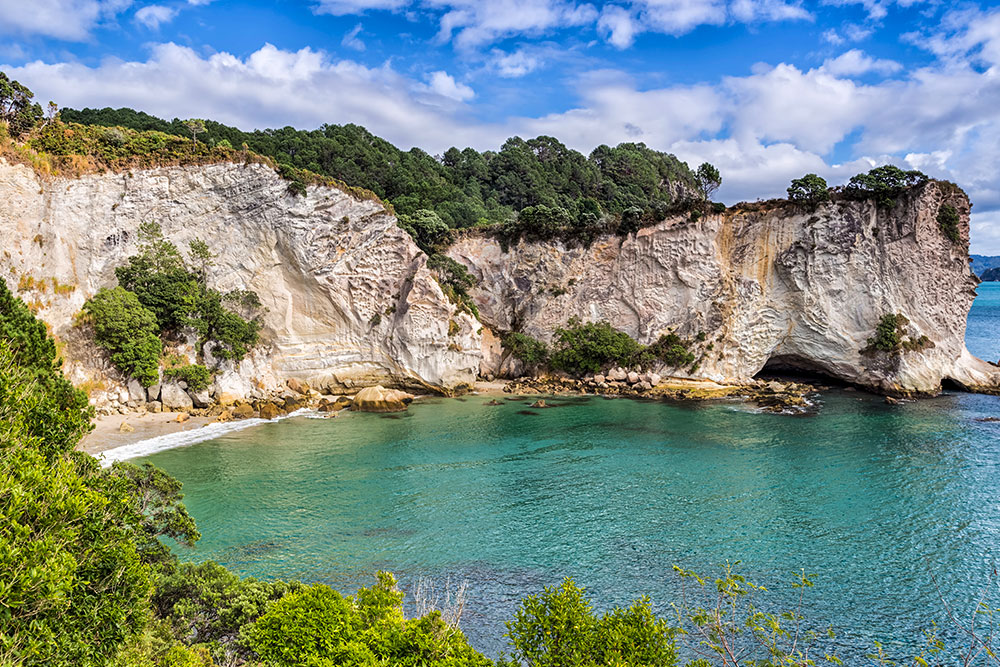 stingray bay coromandel new zealand