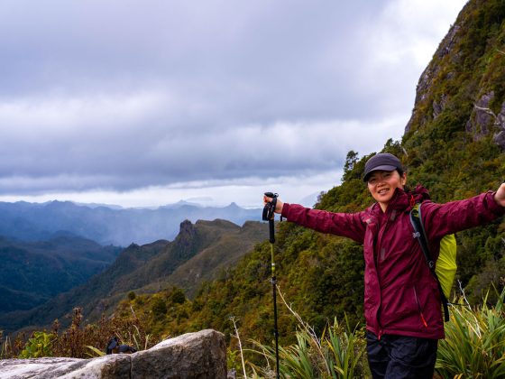 the pinnacles nz walk coromandel best hike