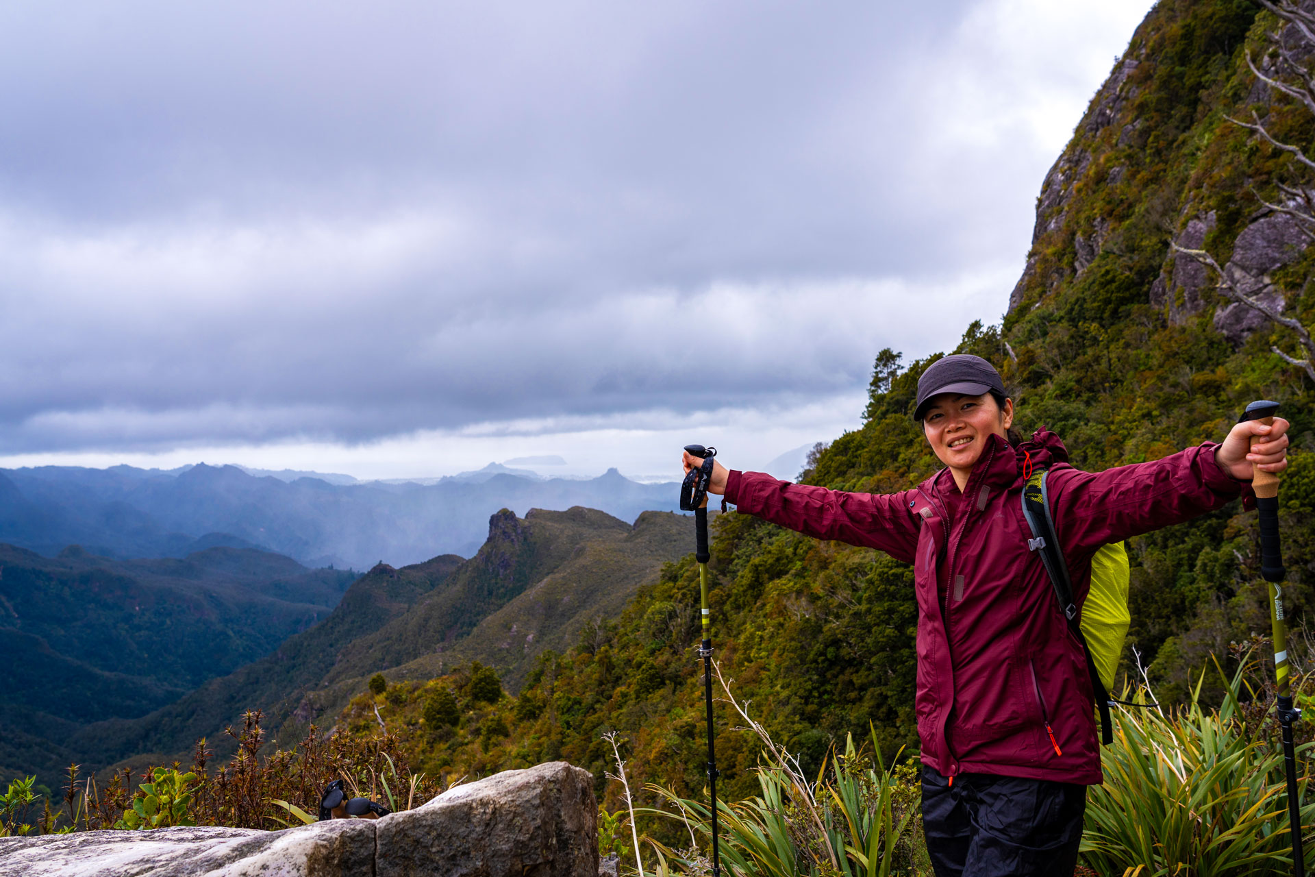 the pinnacles nz walk coromandel best hike