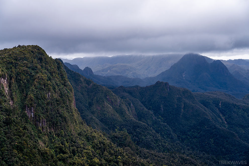 the pinnacles walk coromandel forest park