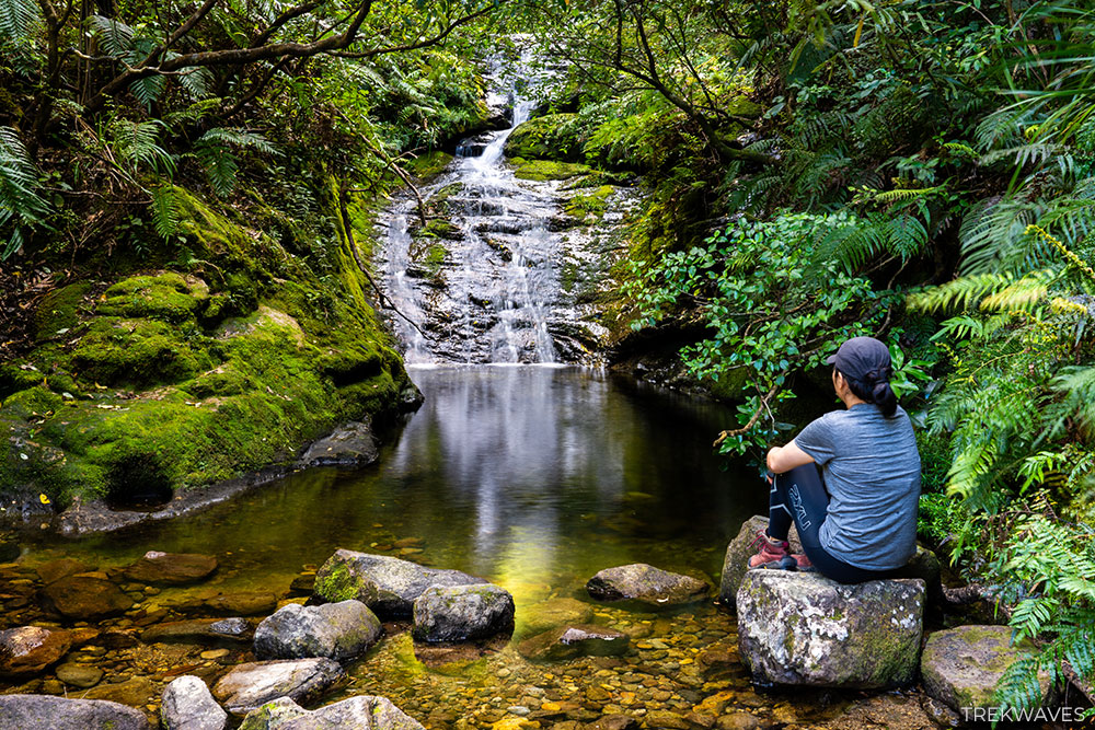 waterfall at the pinnacles walk coromandel forest park